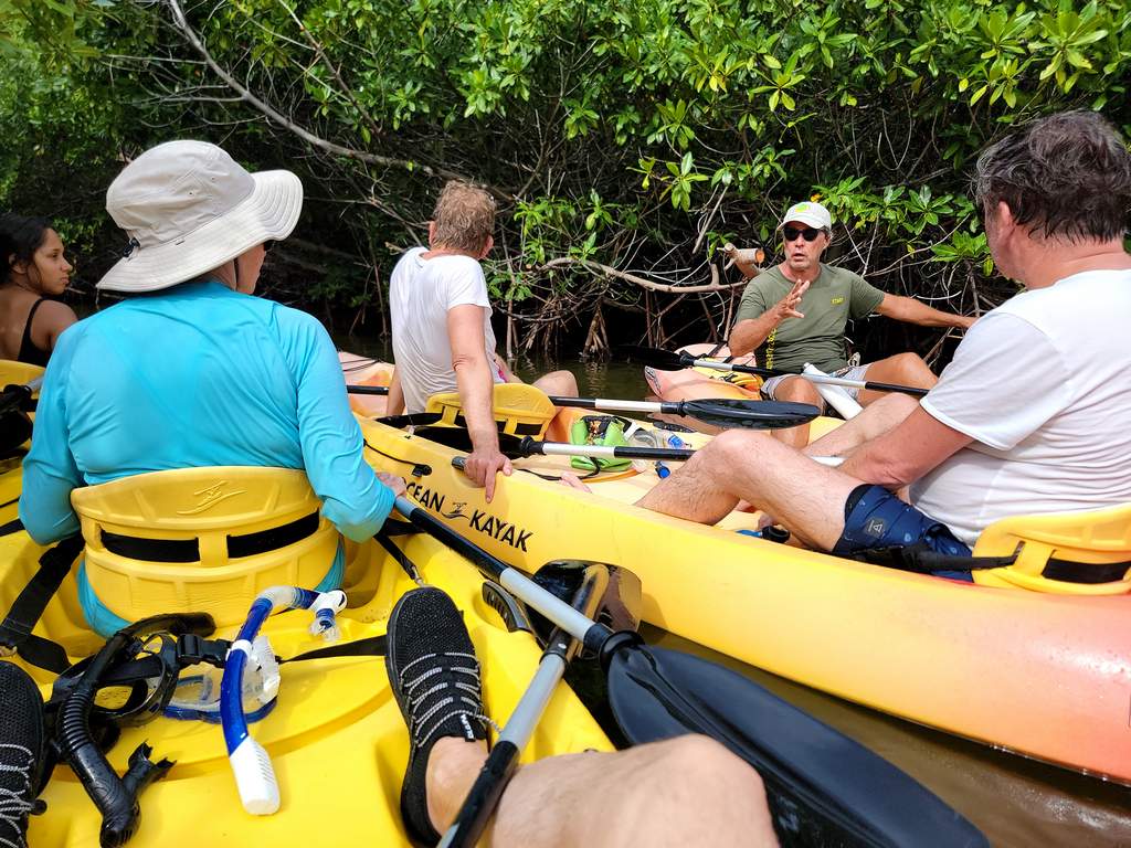 Mangrove guide and group